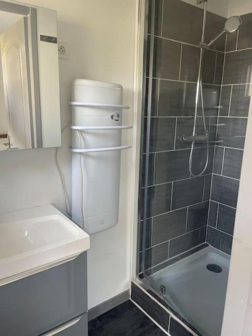Charmant Appartement Avec Parking Privee Buxerolles エクステリア 写真